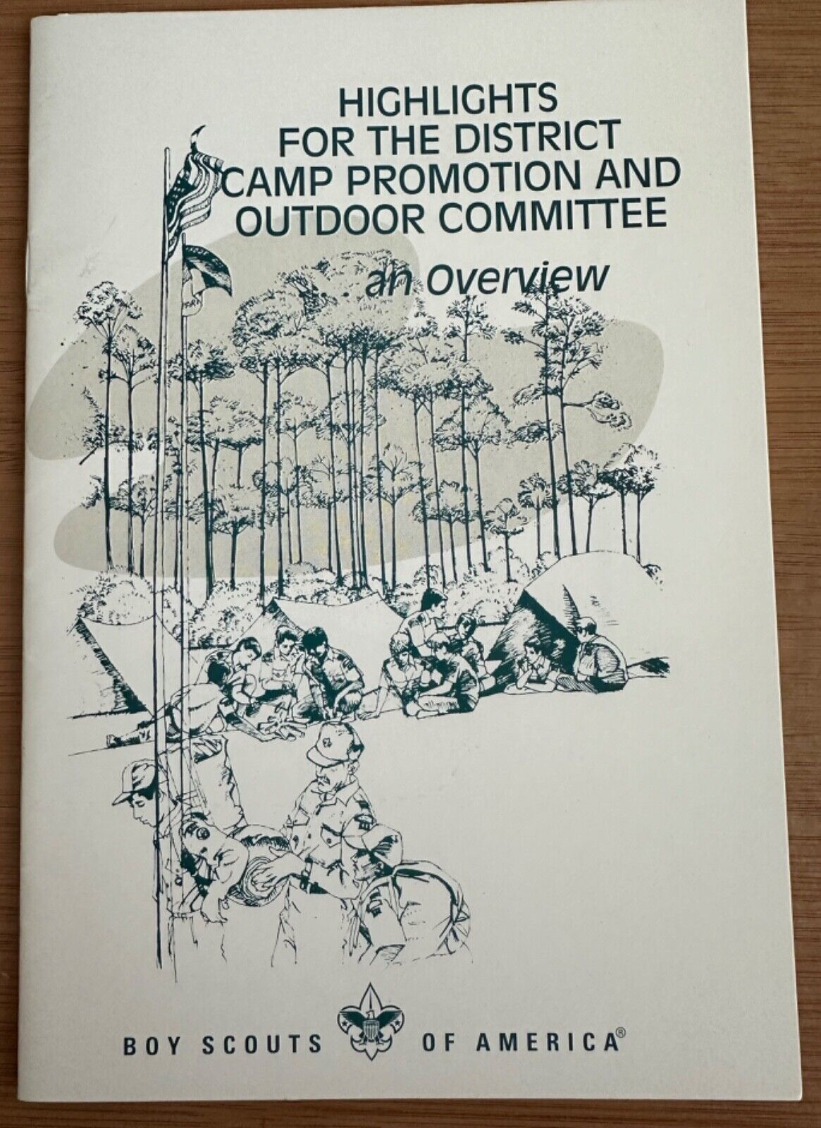 (BSA) Highlights for the District Camp Promotion and Outdoor Committee (2004)