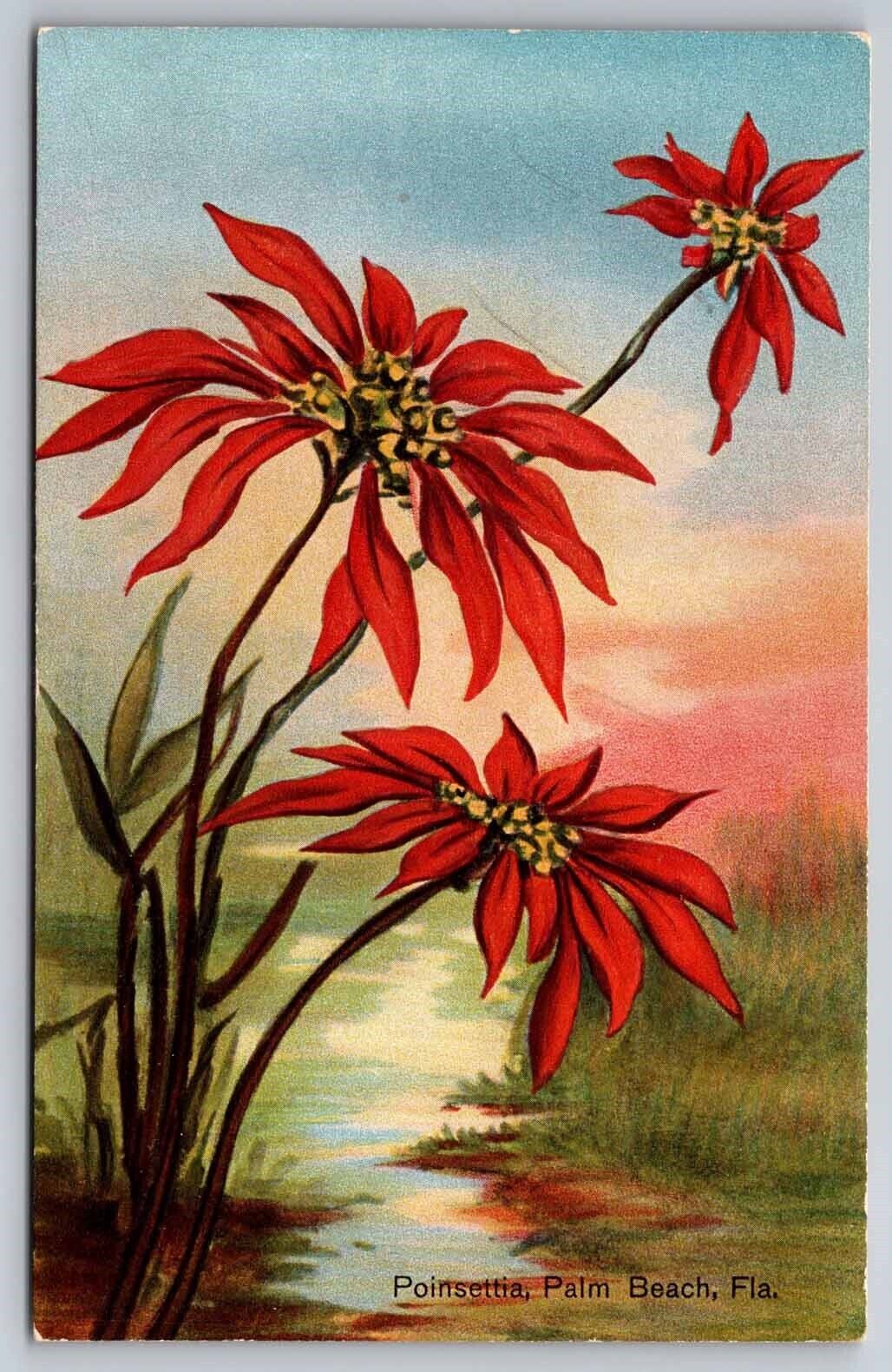 eStampsNet - Postcard West Palm Beach FL c1910 Poinsettia Flower H.A. Bennett 
