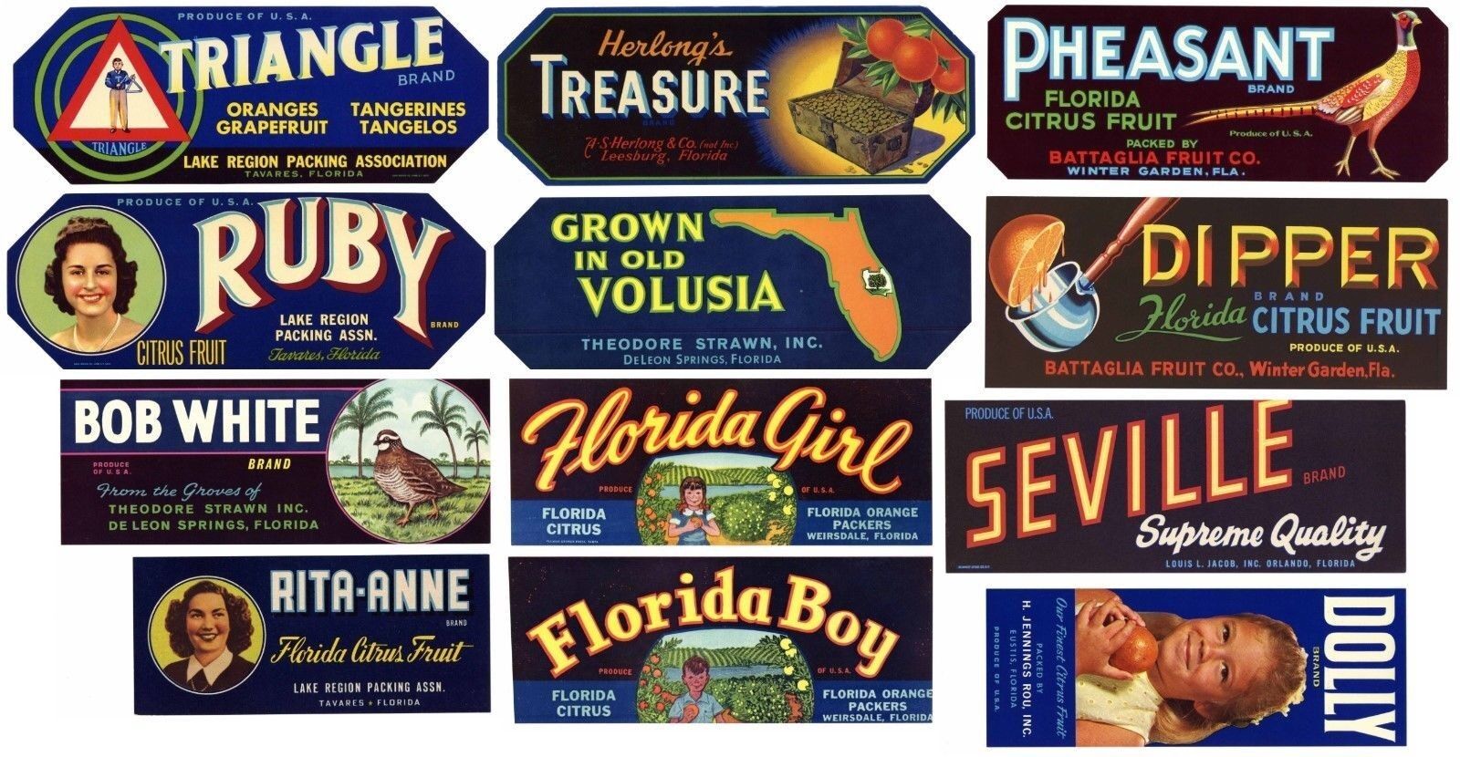 Collection of 12 Different Florida Strip Labels **ORIGINAL CITRUS CRATE LABELS**