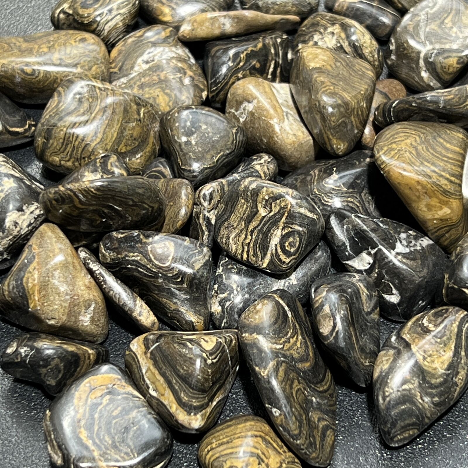 Tumbled Stromatolite Fossil Stone (3 Pcs) Natural Polished Rocks