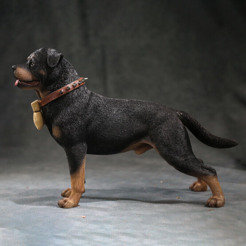 Mr.Z 1:6 Animal Resin Simulation Toy Rottweiler Dog Figure 5 Model Gift In Stock