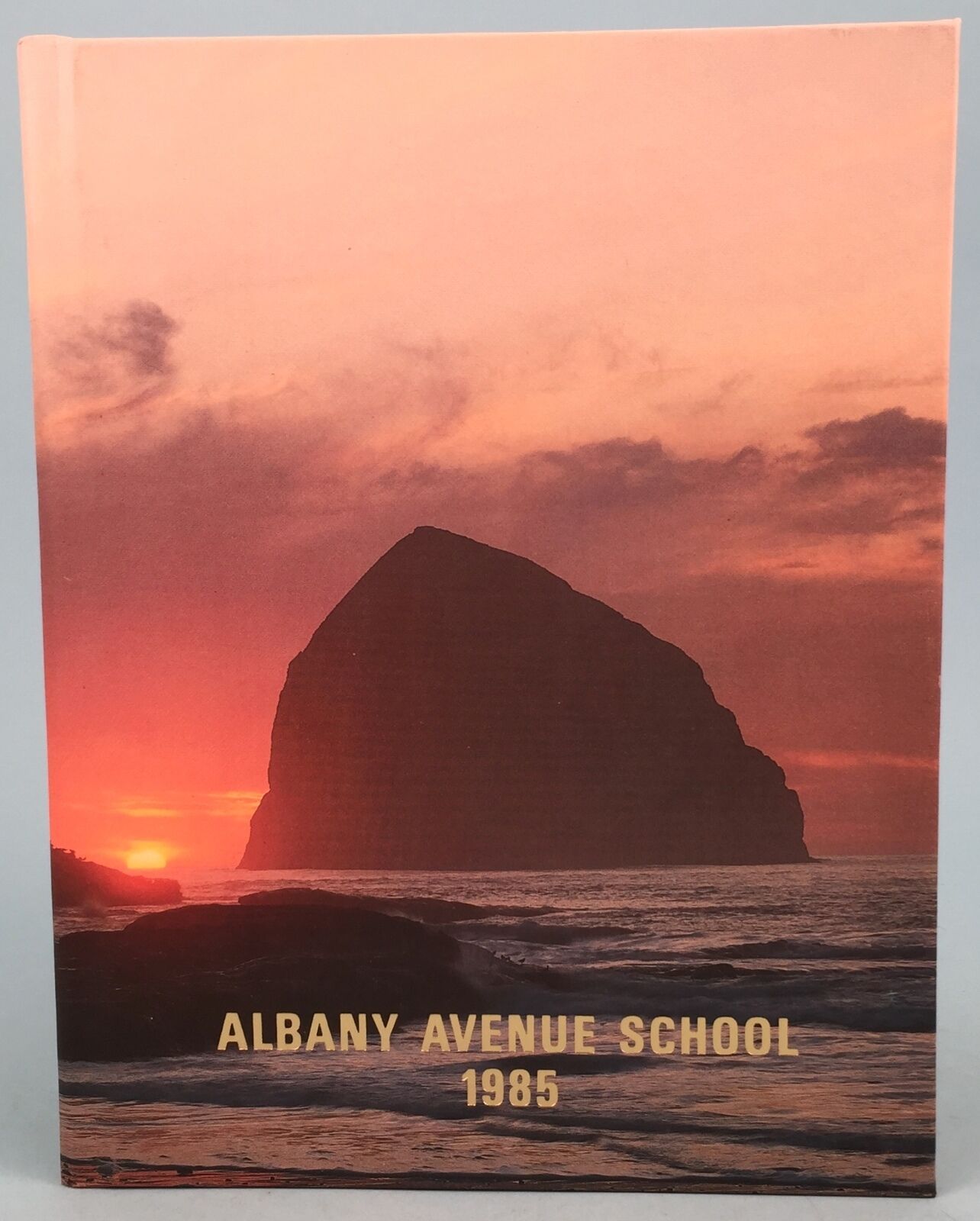 1985 Albany Avenue School Yearbook North Massapequa, LI, NY