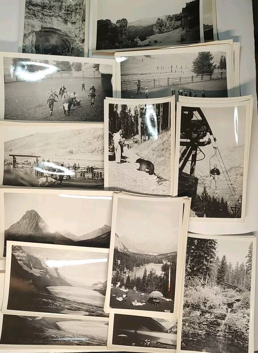 Lot Of 58 Photos Glacier Park Yellowstone, Banff Vintage 1930s 3.5\