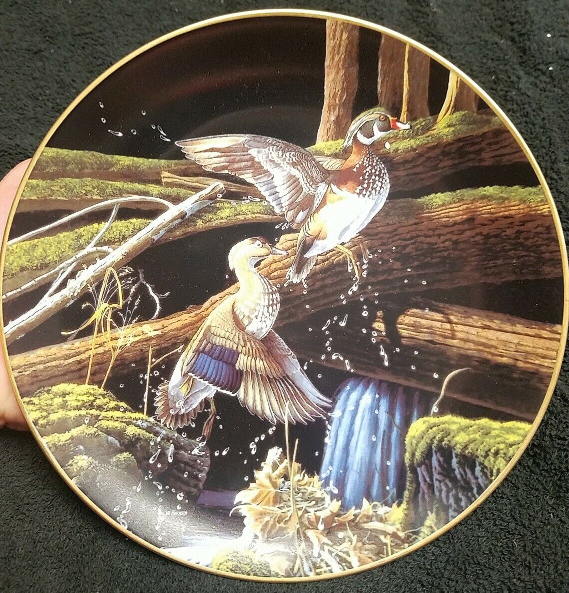 Skyward by Micheal Budden. COA. 1992 KNOWLES COLLECTOR PLATE