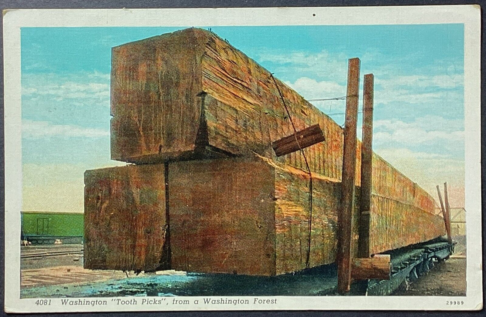 Washington 'Toothpicks' Giant Timbers Vintage Postcard Posted 1939