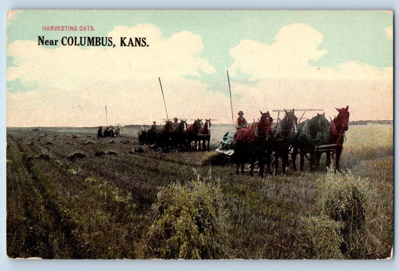 Columbus Kansas KS Postcard Harvesting Oats Wagons People Horses c1910\'s Antique