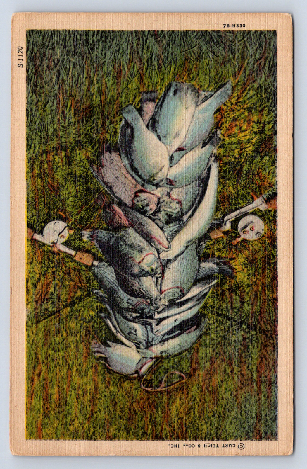 Vintage Postcard Phillipsburg Kansas Trout Fish