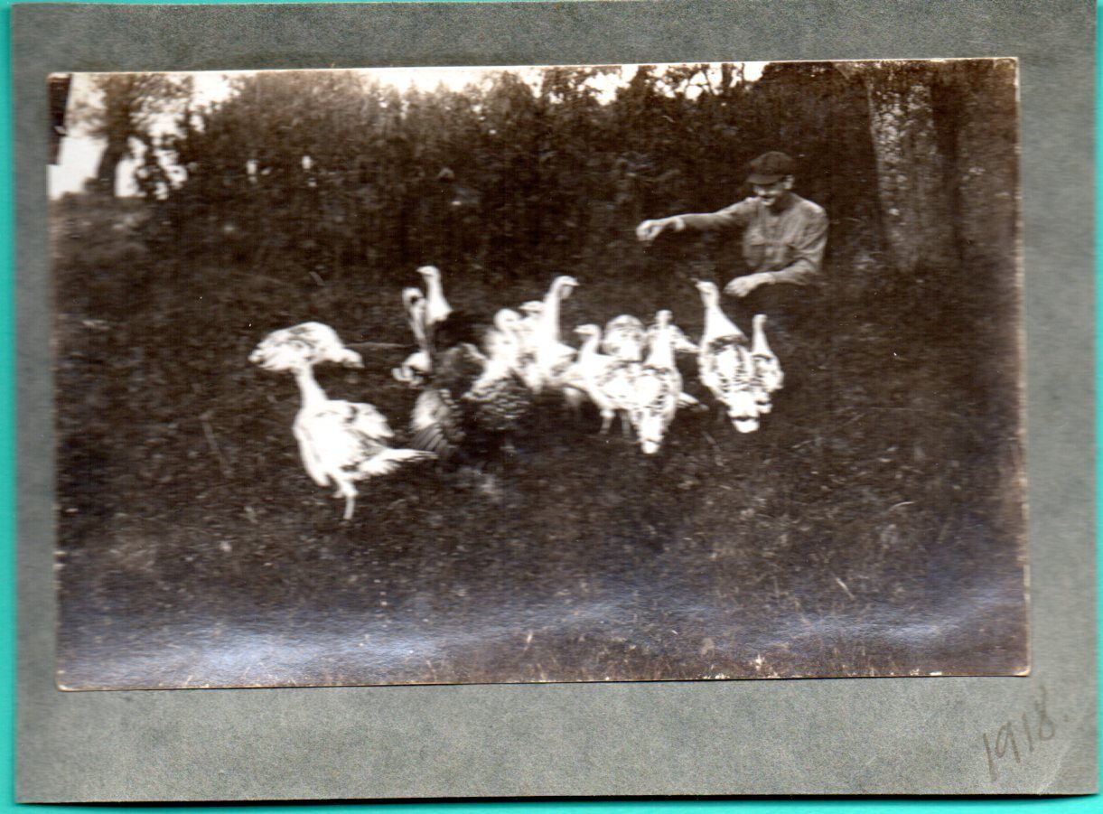 RUSSIA LATVIA MAN AND Turkeys PHOTO 1918s 265
