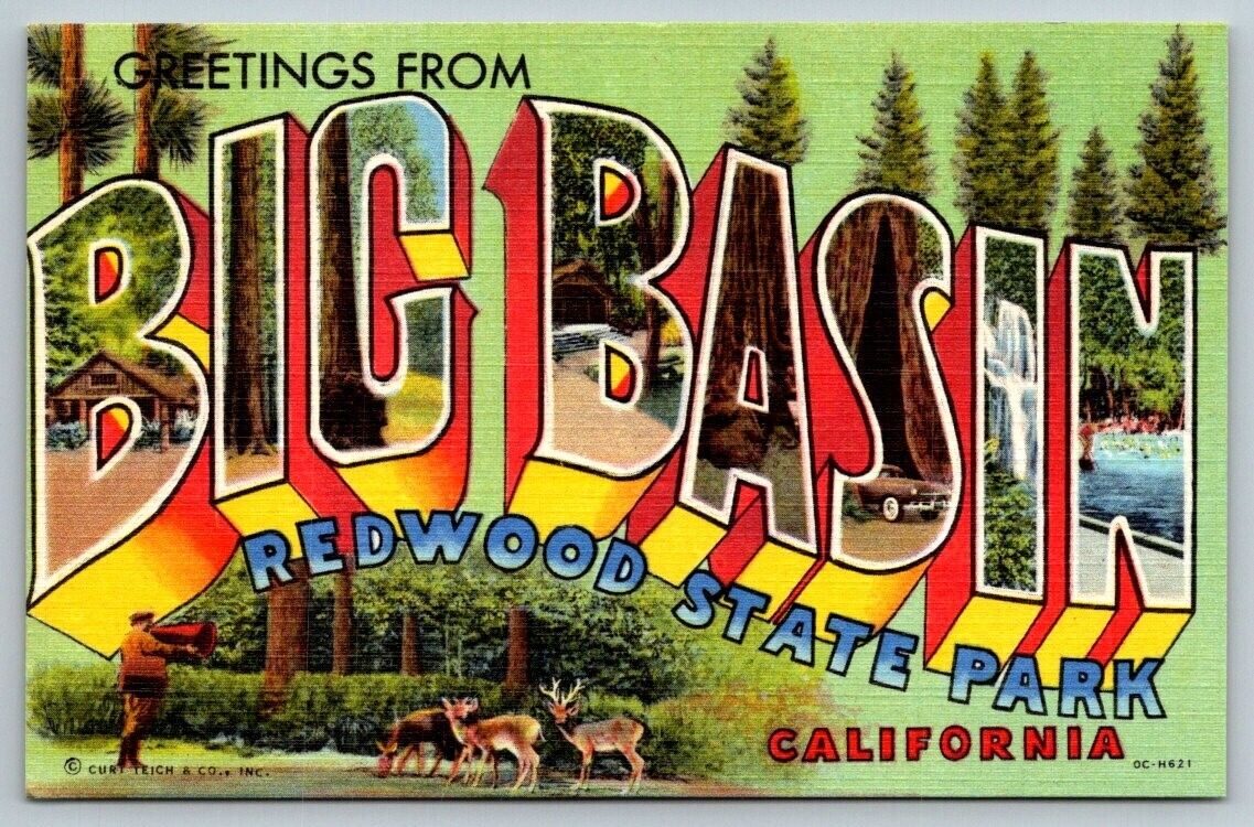 Vintage California Postcard - Large Letter - Big Basin Redwood State Park