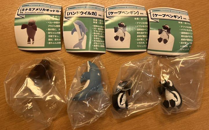 Limited Kyoto Aquarium Fuchiko 3 Types Set Total 4 Pieces Gacha