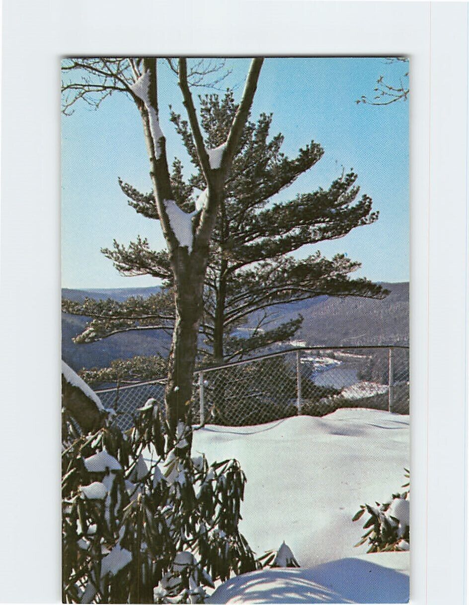 Postcard Snow at Seneca Point Cook Forest State Park Leeper Pennsylvania USA