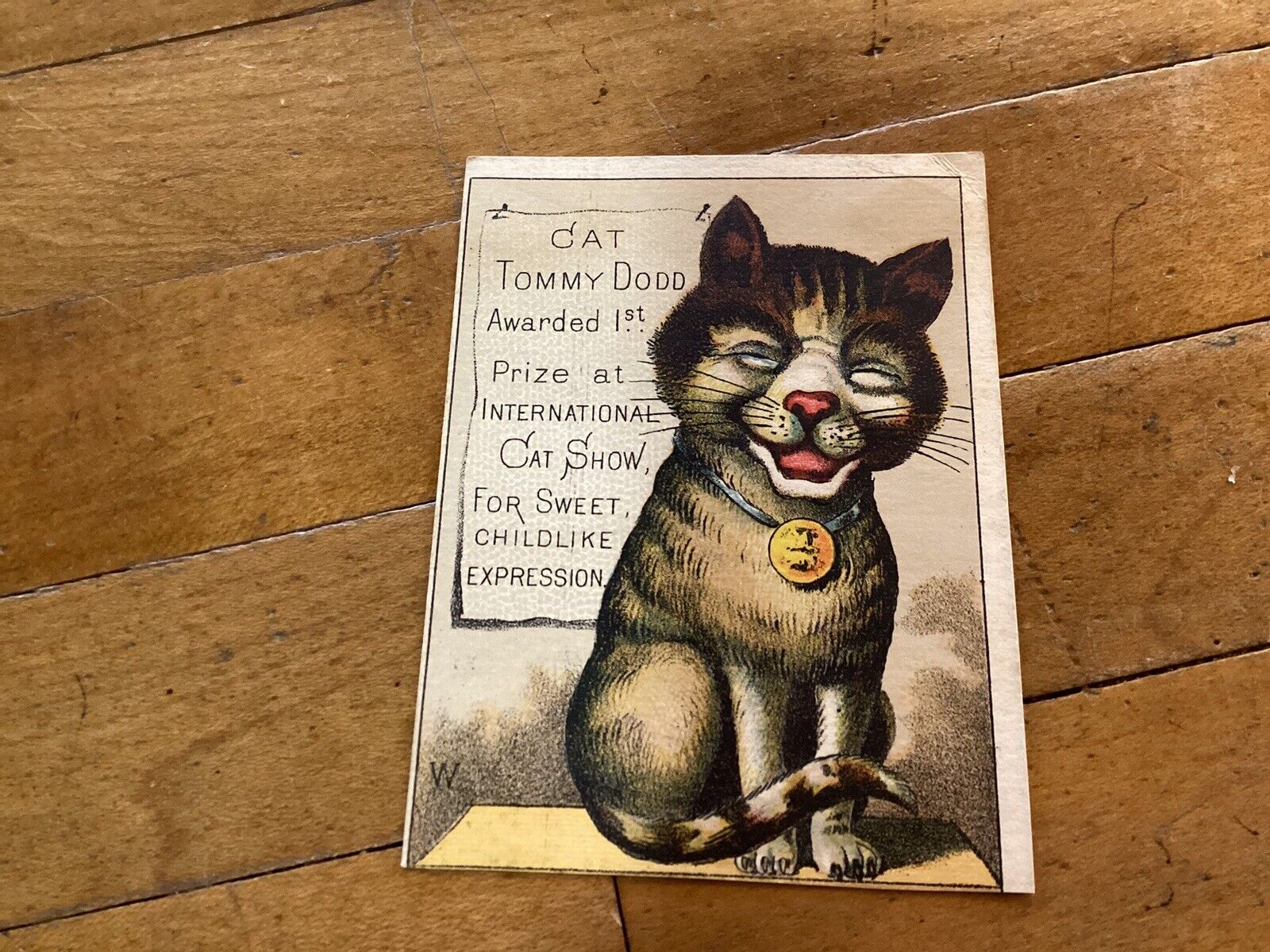 Victorian Trade Card CAT Tommy Dodd 