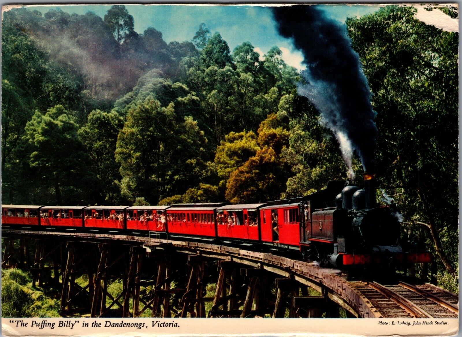 Postcard Continental Puffing Billy Steam Engine Train Victoria Australia