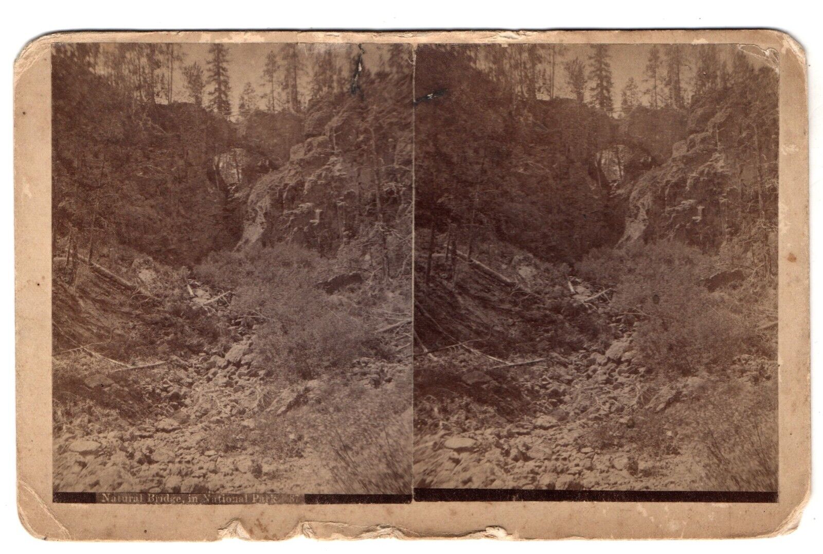 Rare stereoview photo NATURAL BRIDGE in YELLOWSTONE NATIONAL PARK large 1880s WY