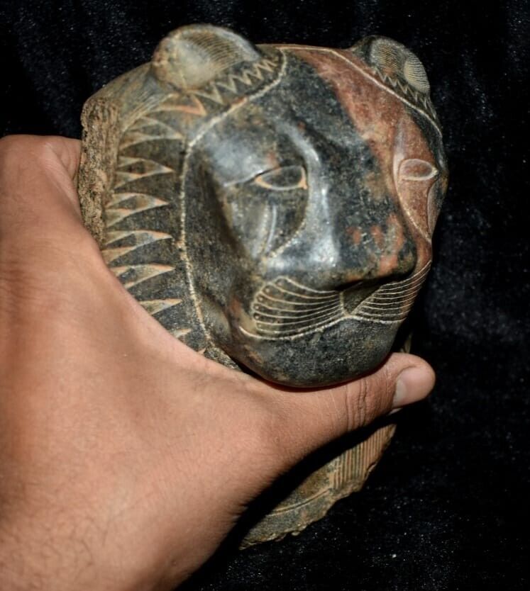 Rare Pharaonic Mask of God Sekhmet Lion Ancient Egyptian Antiquities Egypt BC
