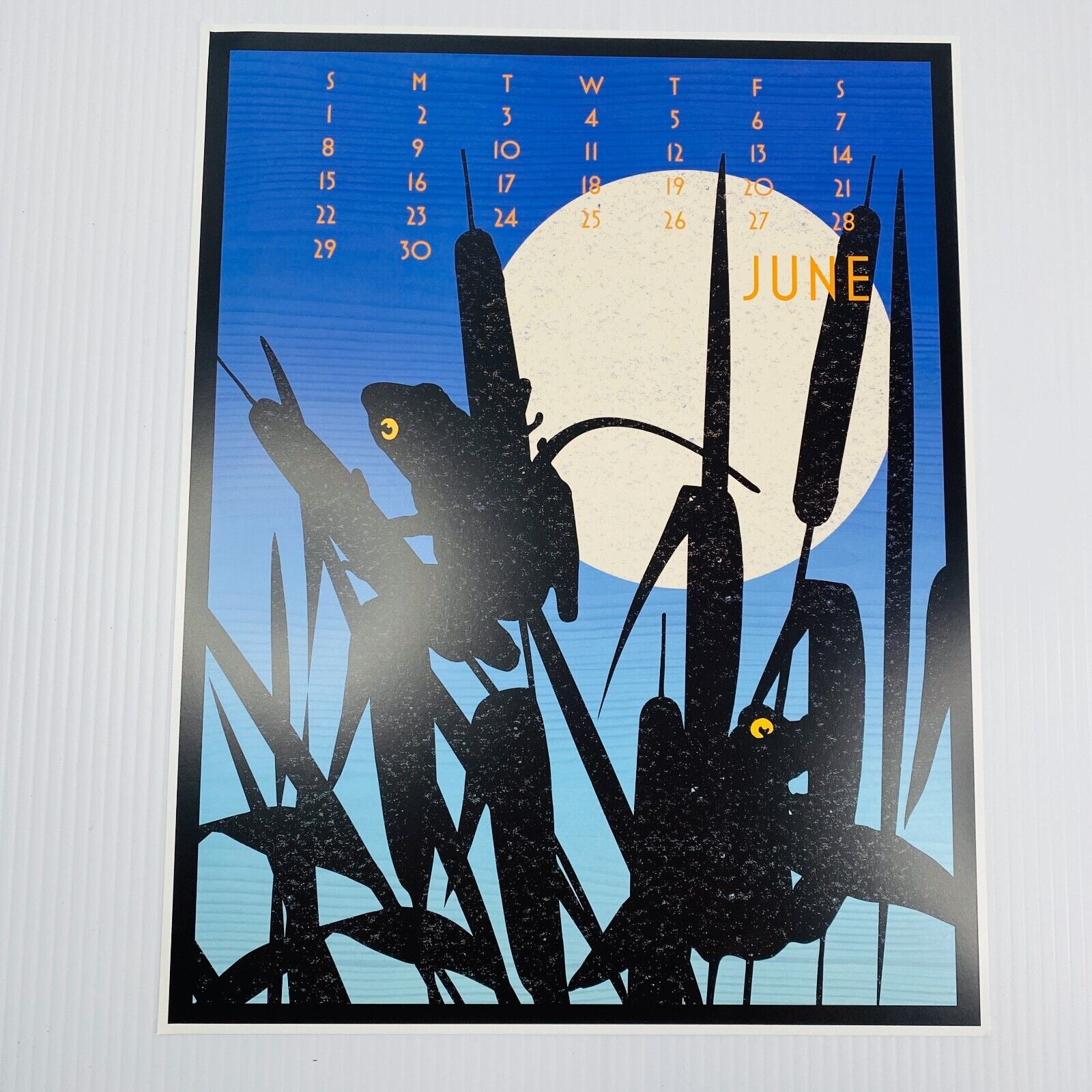 2014 Linnea Poster Calendar 11x14 Replacement Month: JUNE Art Print Moon Frog