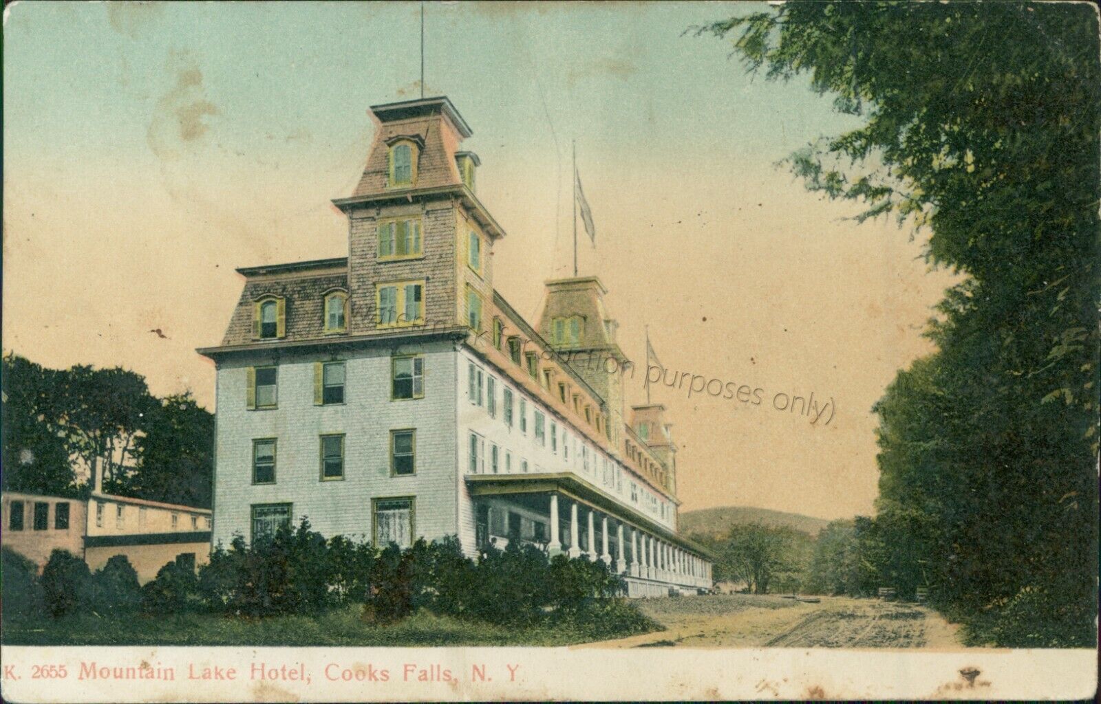 Cooks Falls, New York - The Mountain Lake Hotel 1907 - Vintage NY Postcard