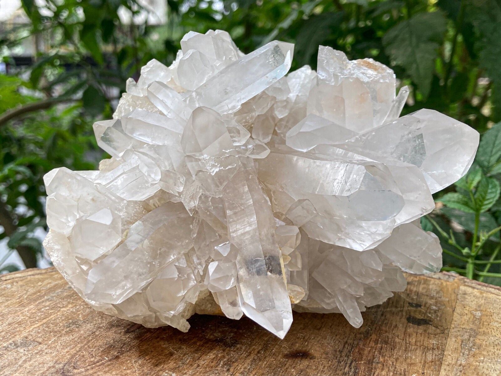 Himalayan White Samadhi Crystal Quartz 937g Large Cluster Minerals Raw Specimen