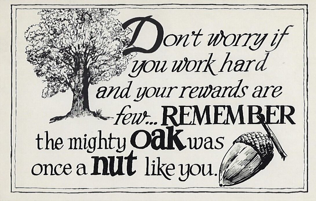 Quotation Postcard - ...Remember the Mighty Oak was Once a Nut Like You