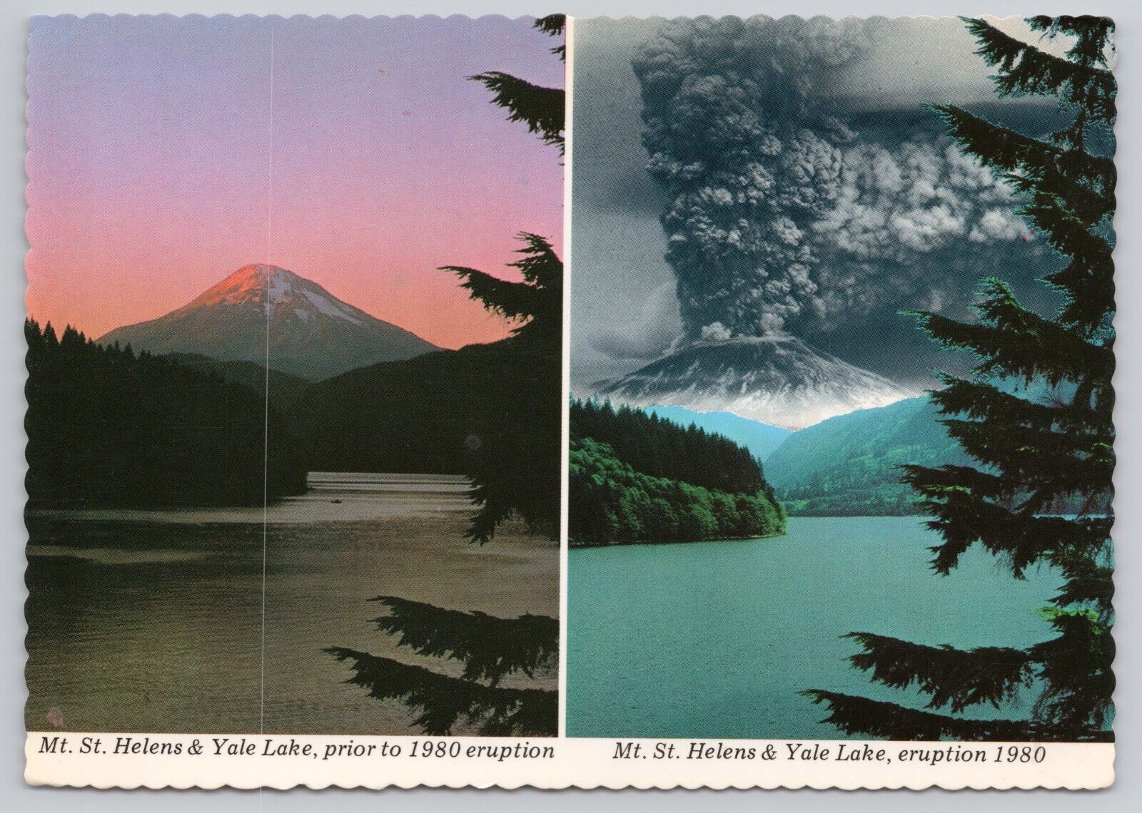 Mt St Helens Washington, Yale Lake Before & After 1980 Eruption Vintage Postcard