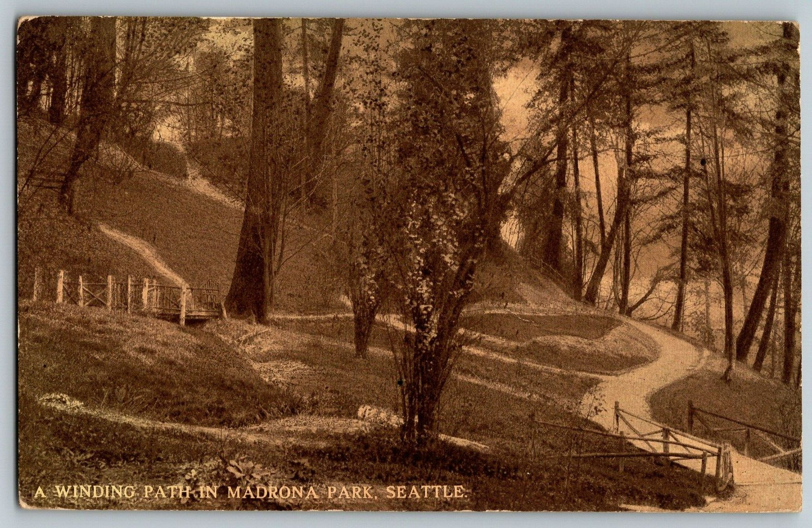 Seattle, Washington - A Winding Path in Madrona Park - Vintage Postcard - Posted