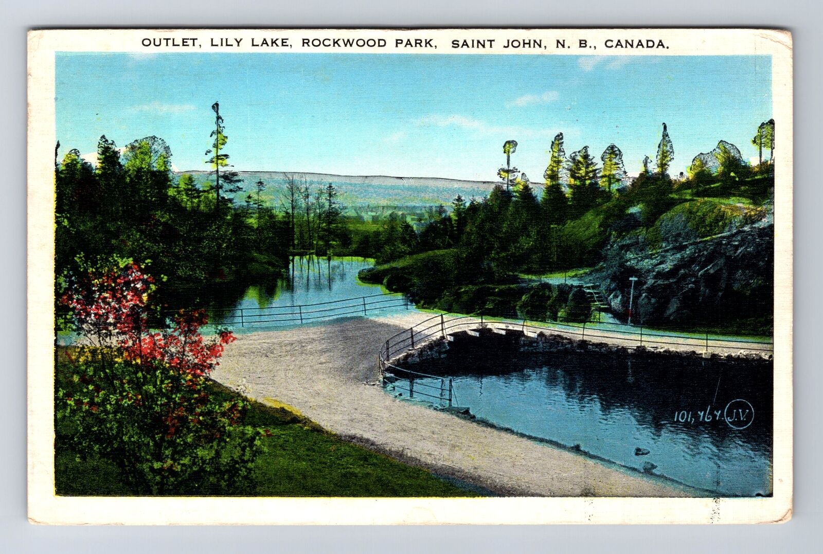 Saint John New Brunswick-Canada, Lily Lake Rockwood Park Vintage c1936 Postcard
