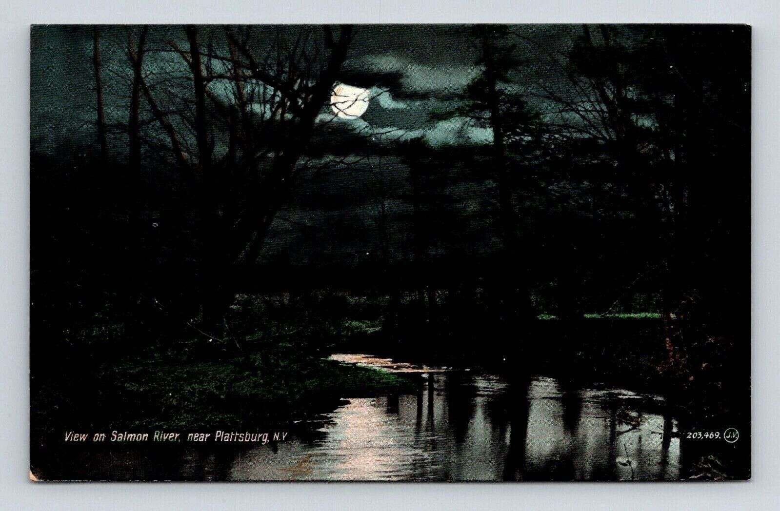 Plattsburg New York Salmon River Scenic Moonlight Night View DB Postcard