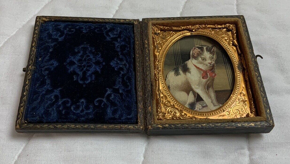 Vintage Antique Victorian Die Cut Ephemera Framed, Full Union Case, Kitty Cat