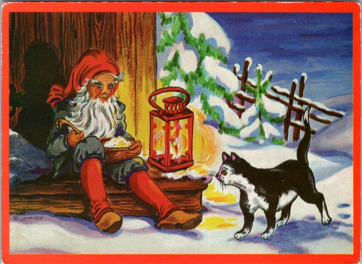 Swedish Merry Christmas Happy New Year Elf Black White Cat Snowy Outdoor Scene