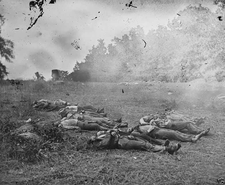 Confederate Dead Soldiers Rose Woods Gettysburg 1863 New 8x10 US Civil War Photo
