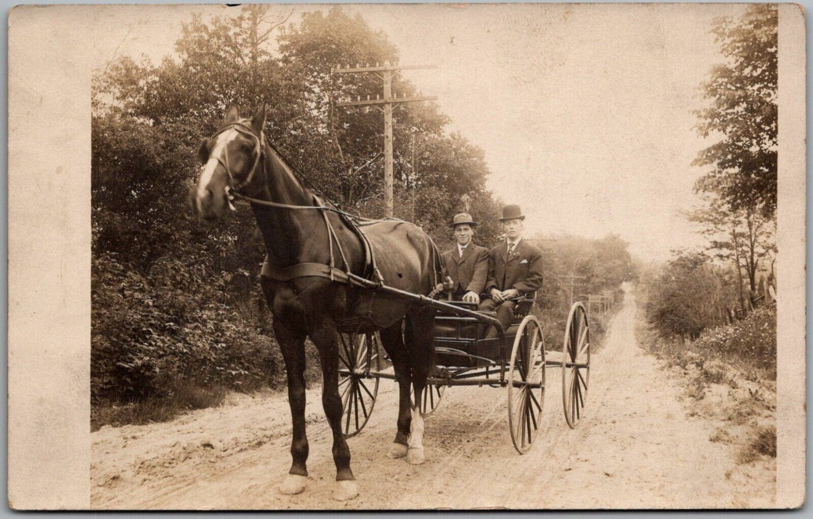 Postcard Two Men Buggy Pulled by Horse. Great Photo RPPC 1904-1918 Real Photo Ek