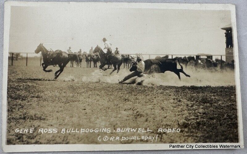 Postcard RPPC REAL PHOTO c1920s Gene Ross Bulldogging Burwell Rodeo Cowboy