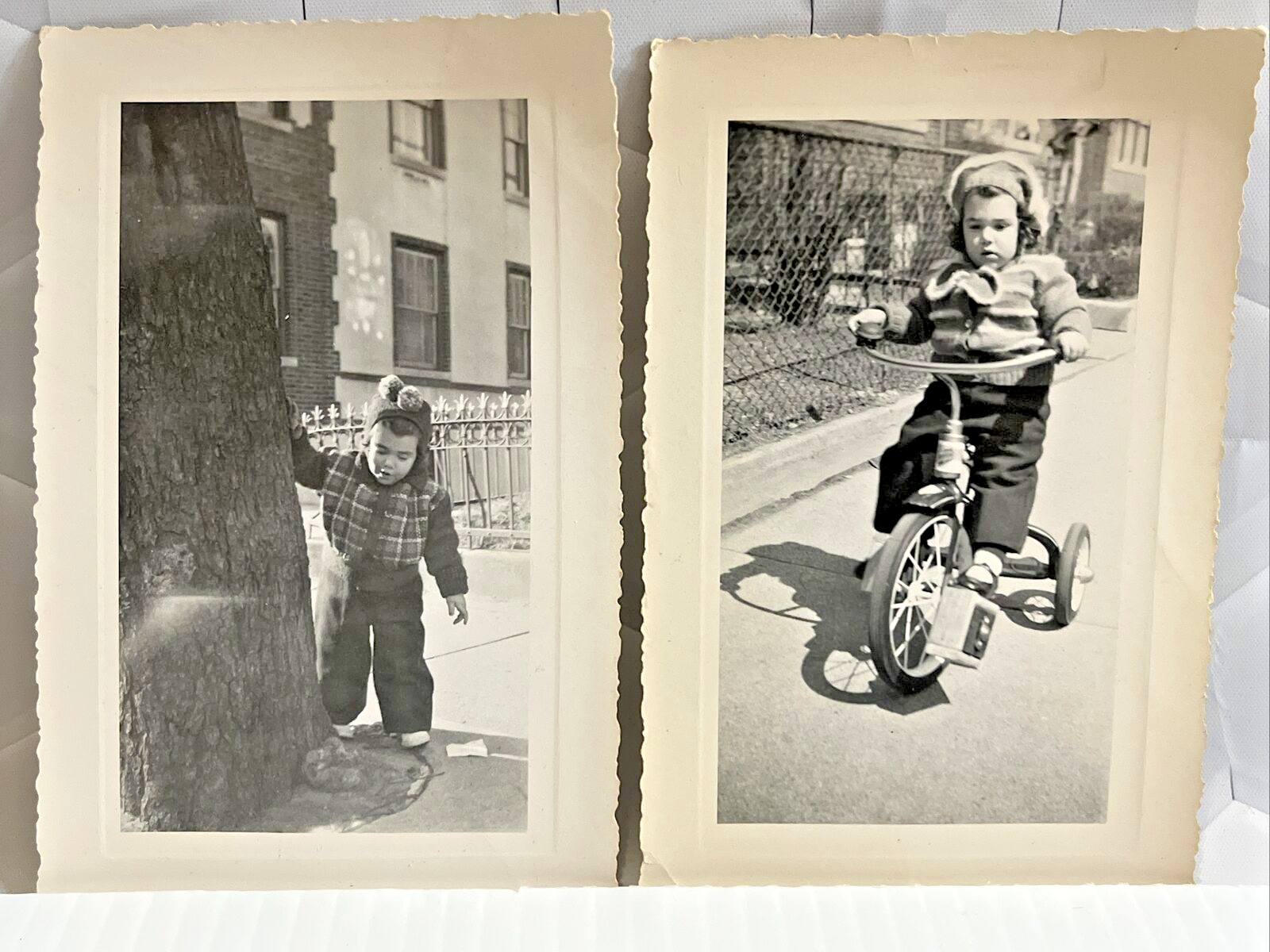 Vtg Found 3x5 Scalloped Photograph Small Girl Behind Tree & Tricycle 1940s-50s