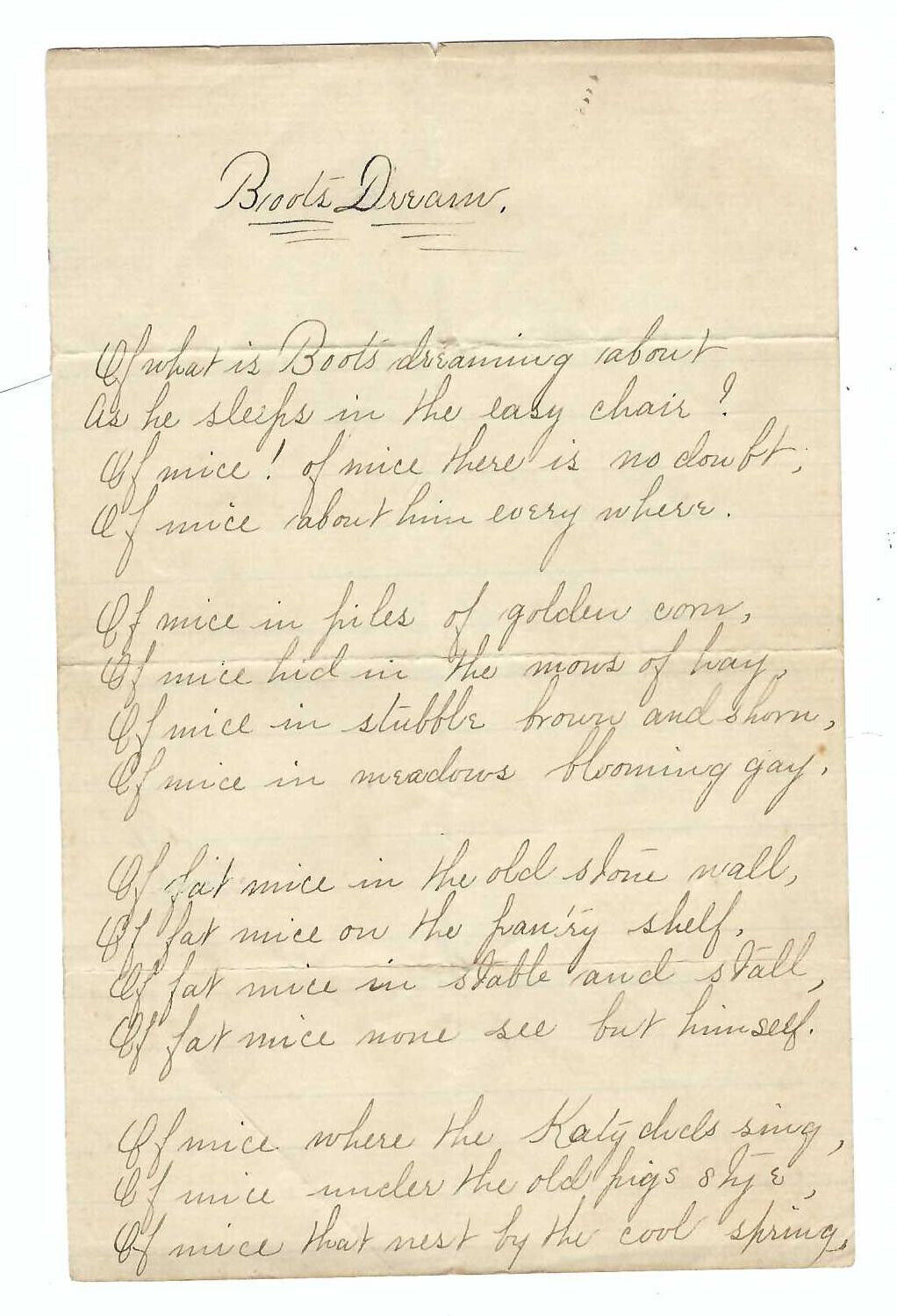 1893 Hand Written Poem \
