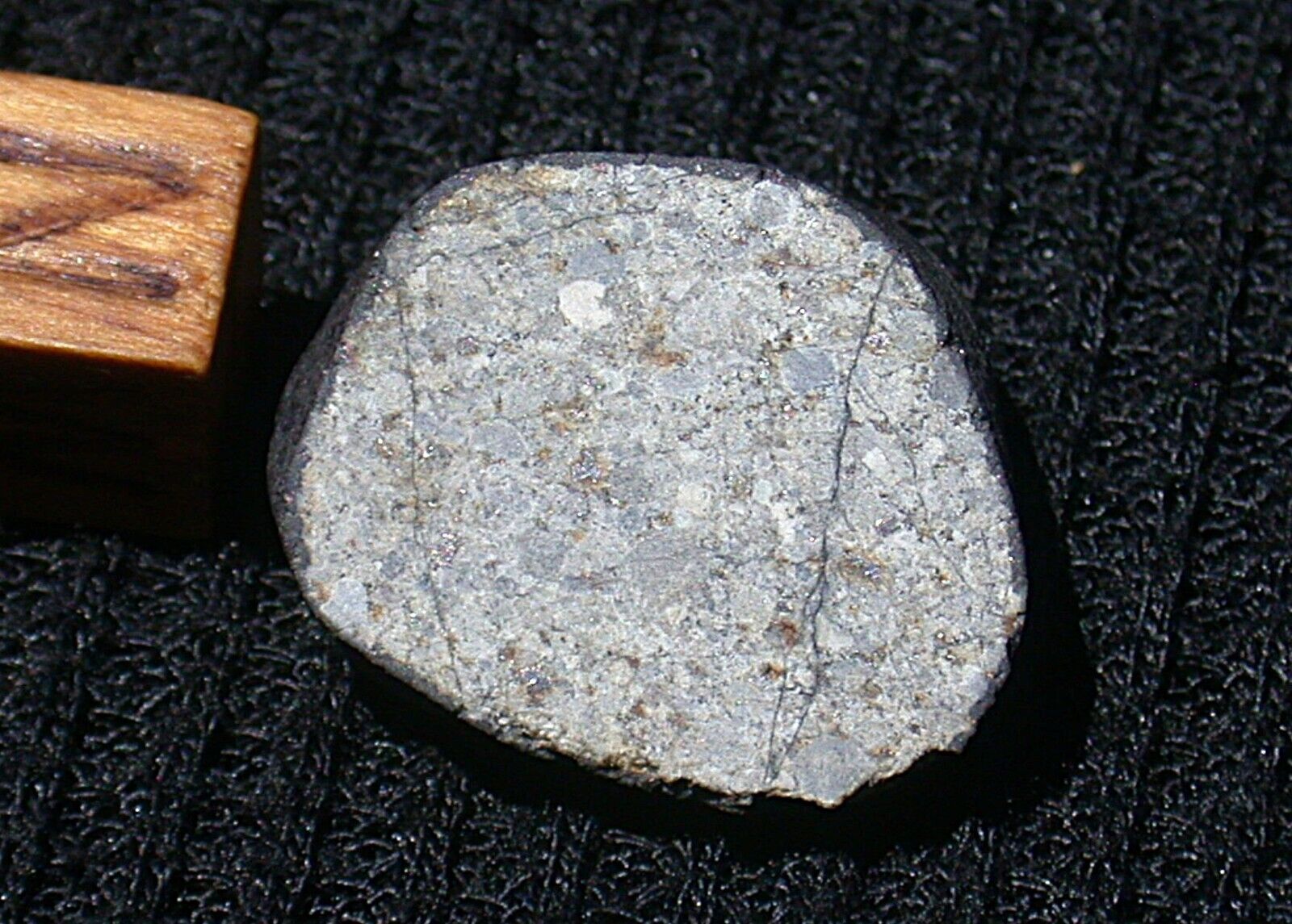 BEAUTIFUL Crusted Chelyabinsk (LL5) meteorite end cut - 9.67 g