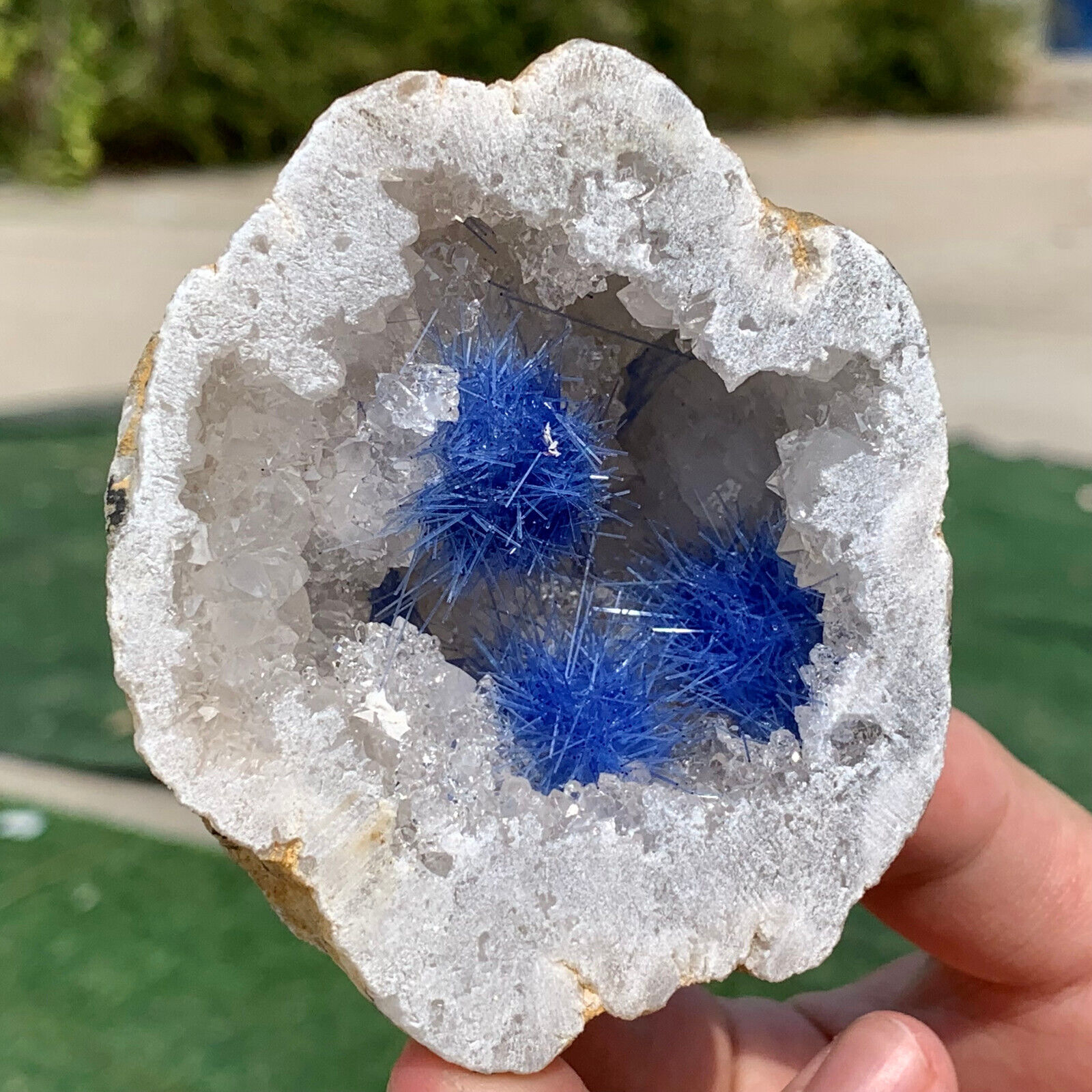 209G Rare Moroccan blue magnesite and quartz crystal coexisting specimen