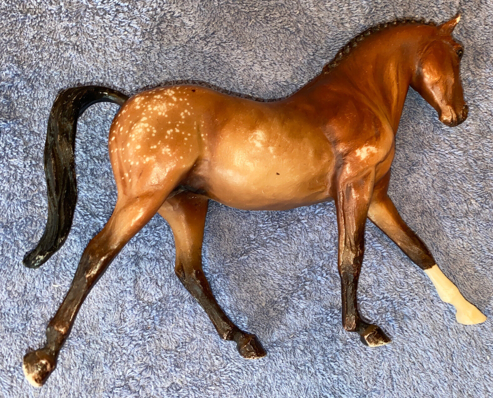 Breyer Mold #3035KE Keen Appaloosa Sporthorse Buckskin Spotted 2001-2004