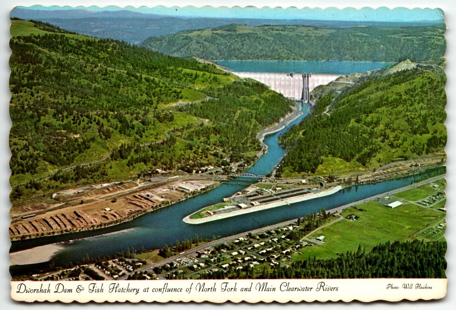 Dworshak Dam Fish Hatchery Postcard Idaho ID UNP North Fork Main Clearwater