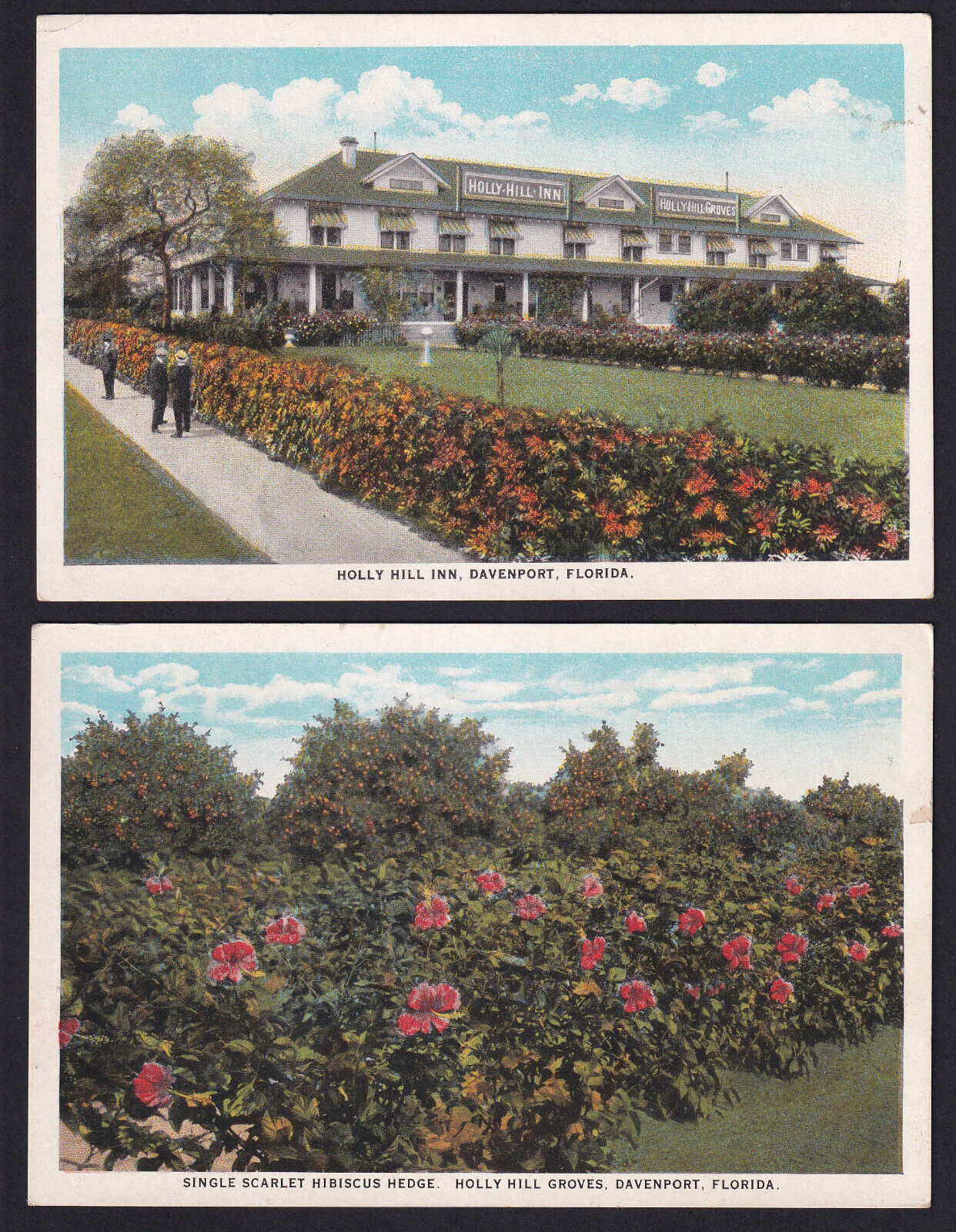 2-Florida-FL-Davenport-Holly Hill Inn & Groves-Vintage Postcards Lot