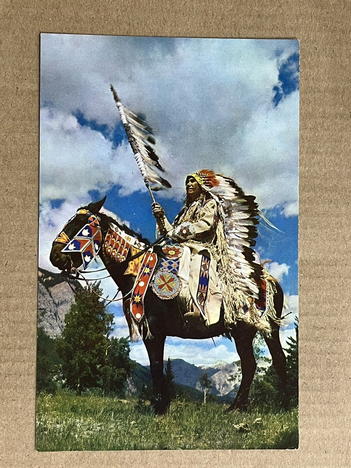 Postcard Indian Chief On Horse Headdress Ceremonial Clothing Vintage PC