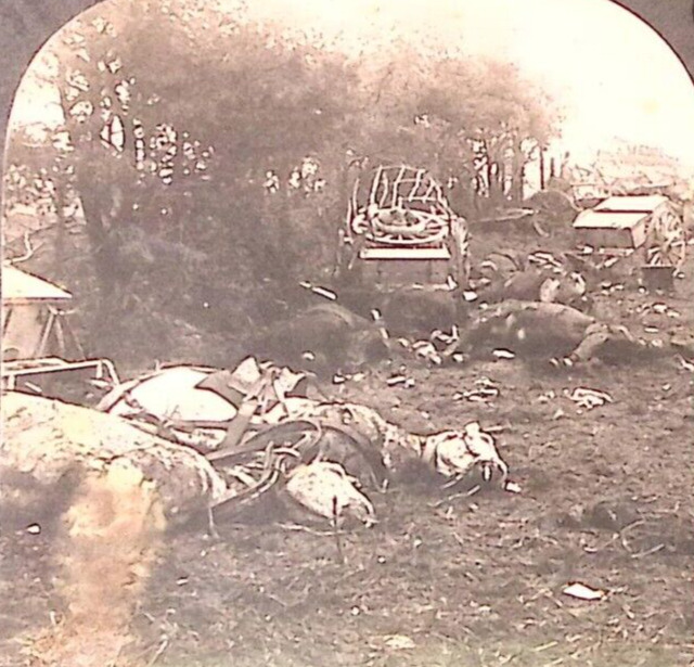 c1918 WWI ENEMY AIRMEN BOMBED SUPPLY TRAIN DESTROYED HORSES STEREOVIEW Z1539