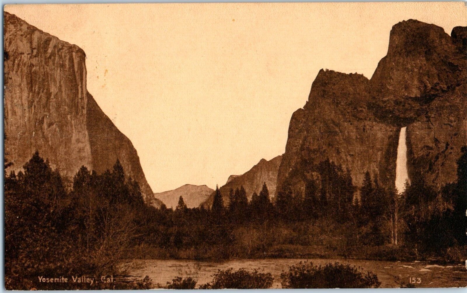 1921 Vintage RRPC Real Photo Postcard Yosemite Valley California  Trees Rocks
