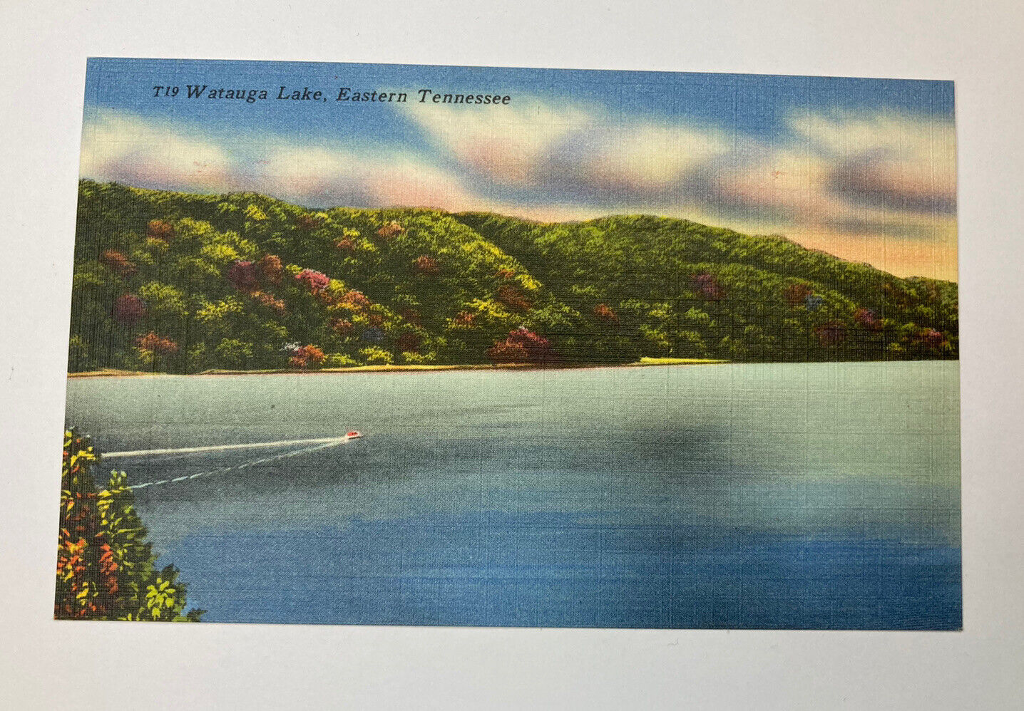 Watauga Lake Eastern Tennessee Colorful VINTAGE Postcard