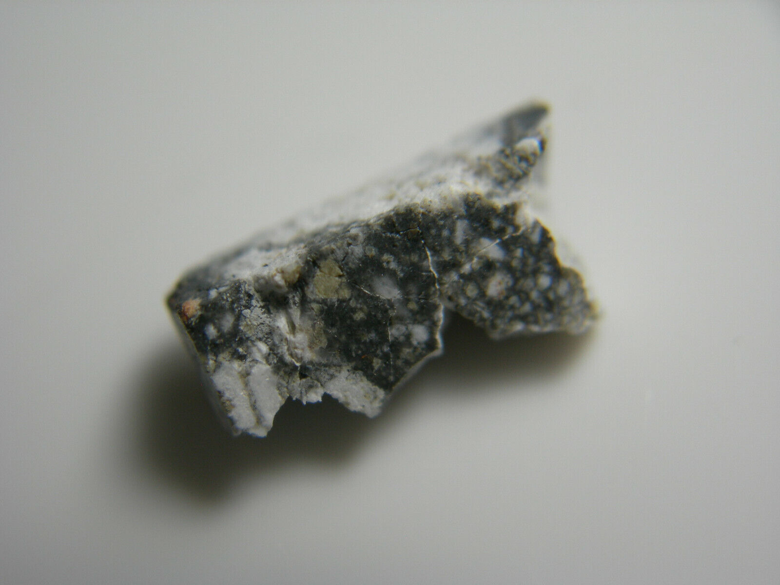 NWA 5000 LUNAR Meteorite Africa VERY RARE feldspathic breccia MOON Space IMCA d