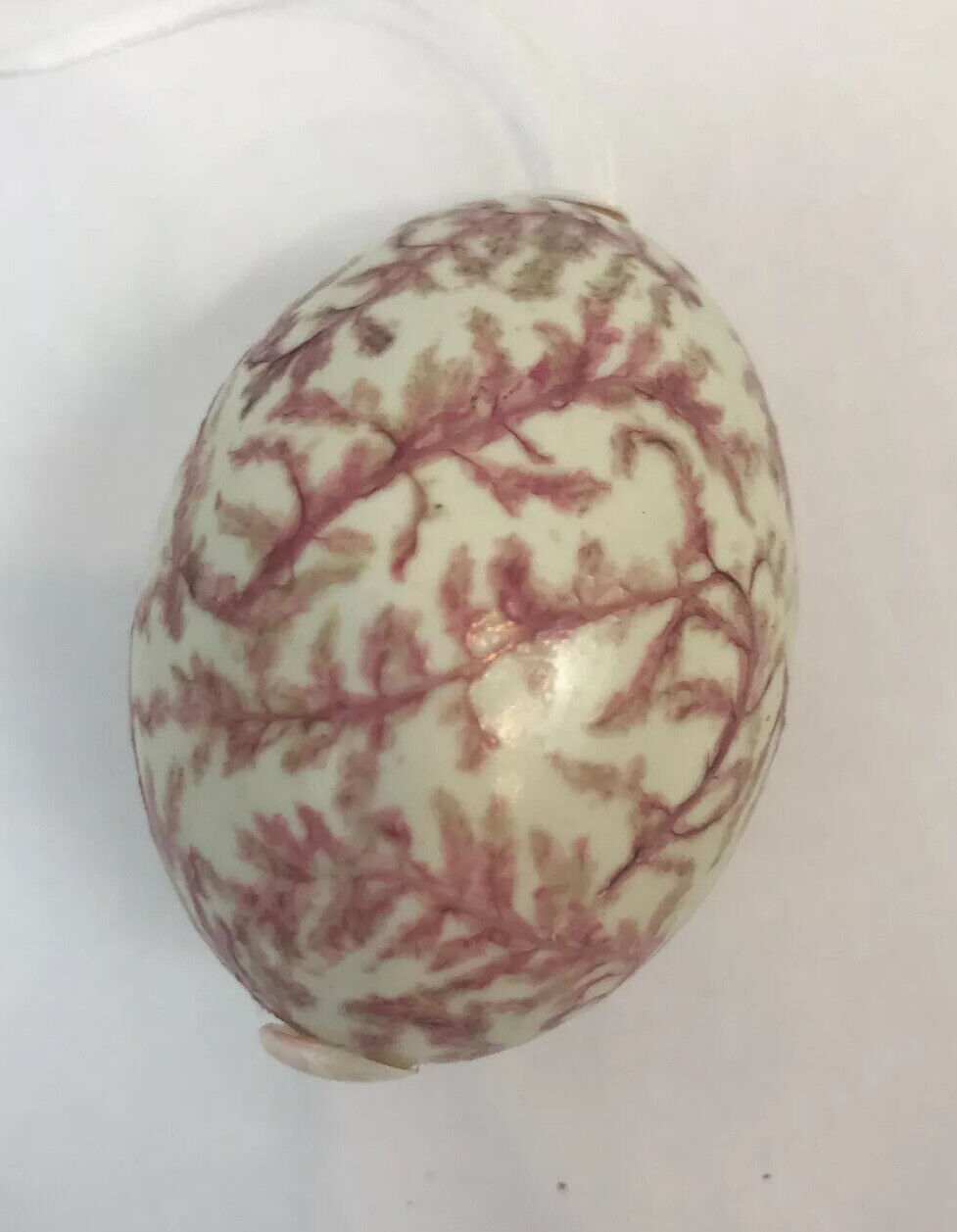 Vintage Real Egg Christmas Ornament Blown Seashell Pink Coral 3\