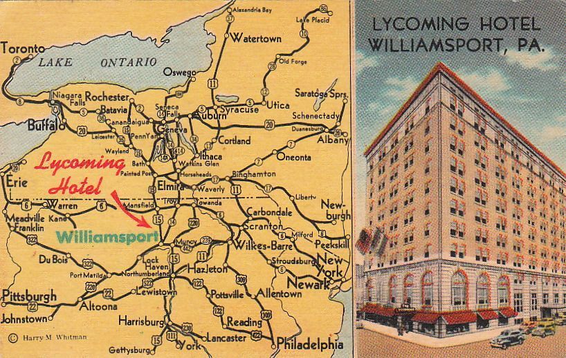 Postcard Lycoming Hotel Williamsport PA