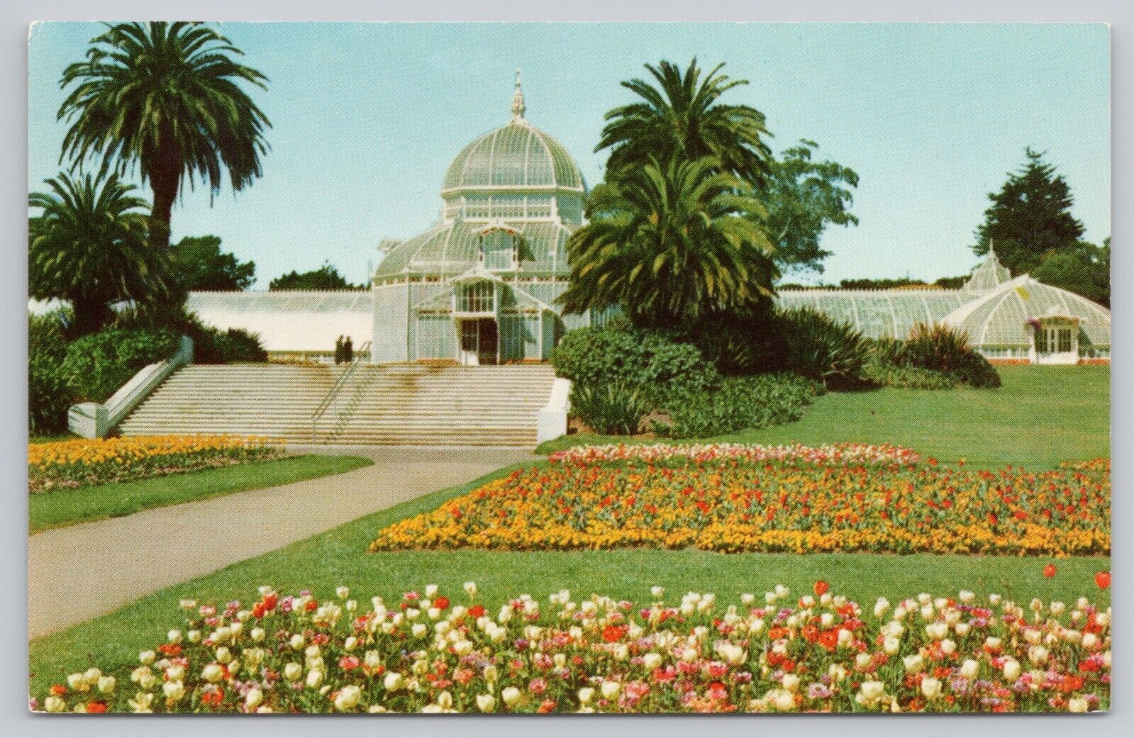San Francisco California, Golden Gate Park Conservatory, Vintage Postcard