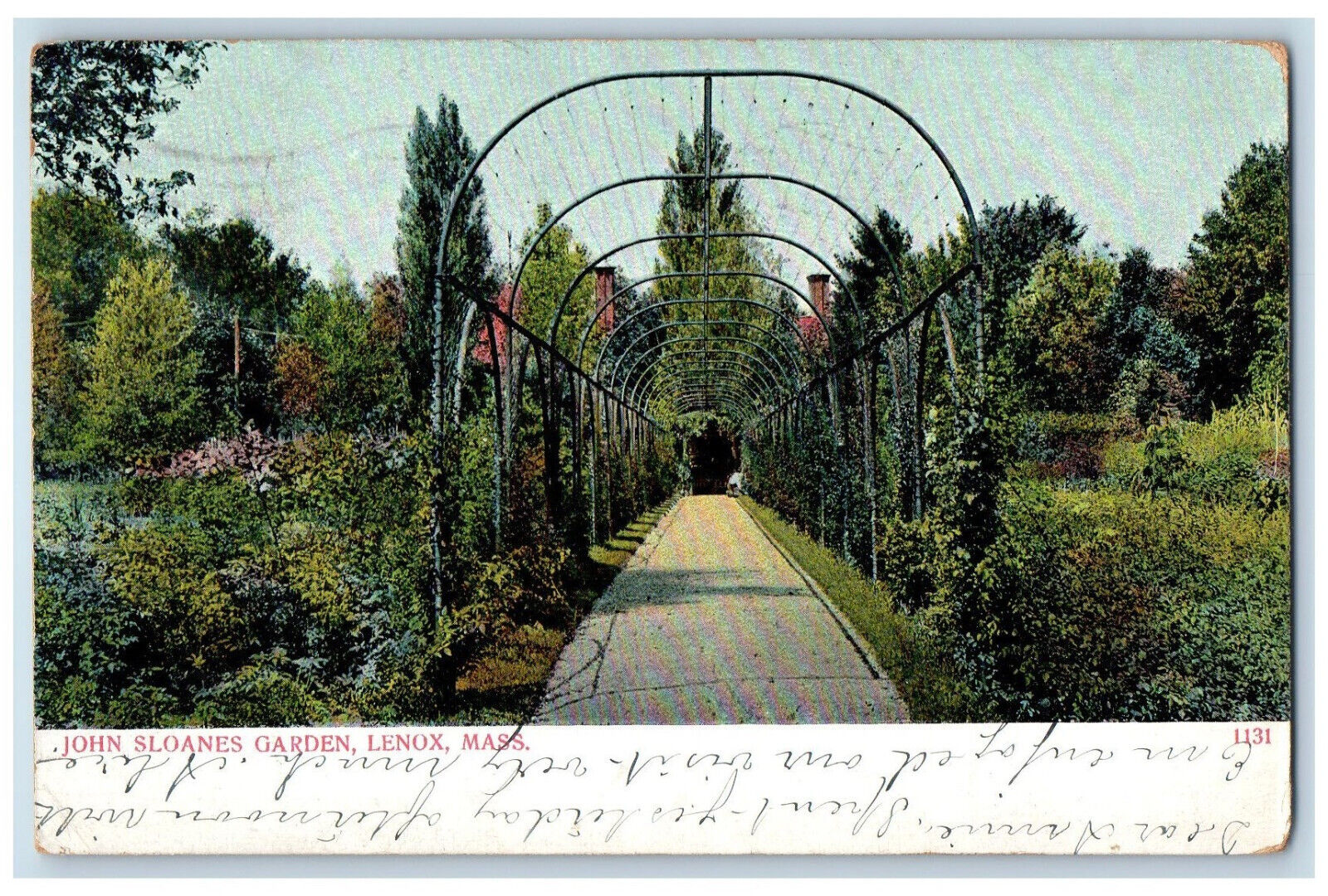 1909 John Sloanes Garden Flower View Lenox Pittsfield Massachusetts MA Postcard