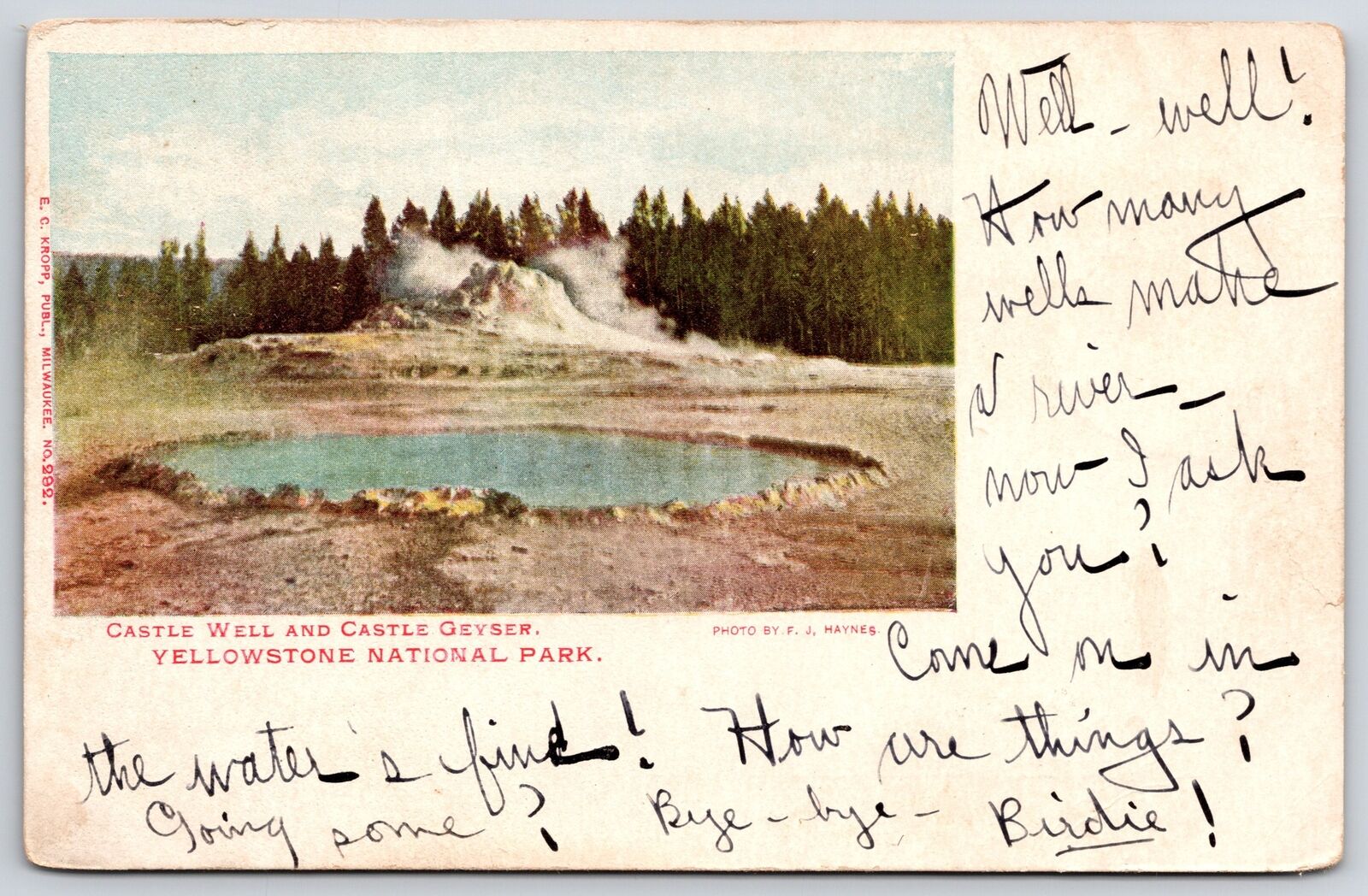 Castle Well Geyser Yellowstone National Park Forest Trees Sightseeing Postcard