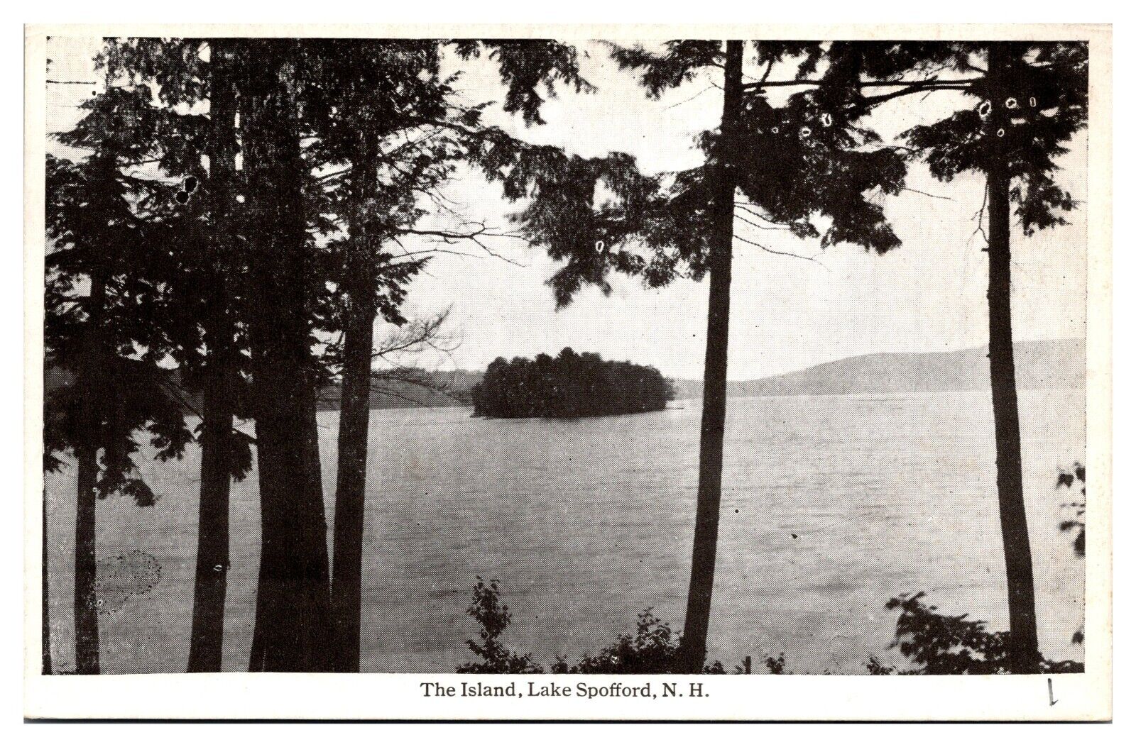 ANTQ The Island, Scenic Landscape, Lake Spofford, NH Postcard
